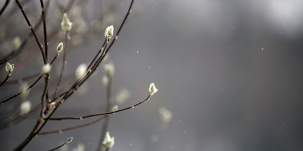 How to make sure your heating system is ready for the up and coming winter.